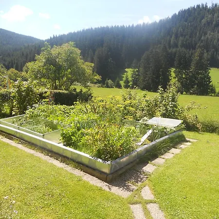 Haus Waldmann * Sankt Martin am Tennengebirge